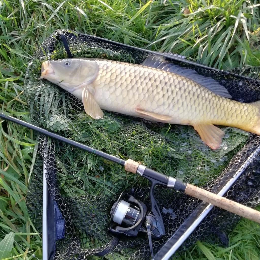 2 x Lion Penhengel 1.75lb 12ft, Watersport en Boten, Ophalen, Gebruikt, Werphengel