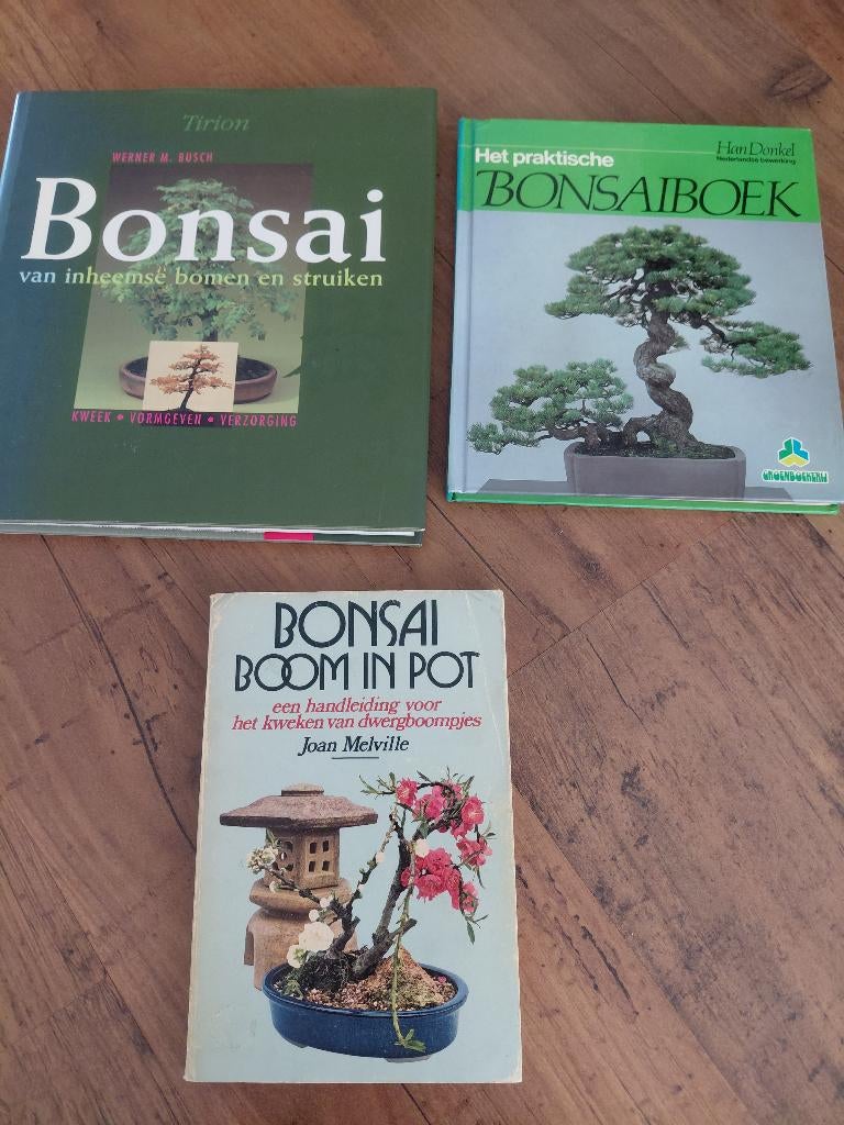 3 boeken over bonsai bomen, Ophalen of Verzenden, Gelezen, Overige onderwerpen