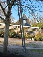 Klimrek, Ophalen of Verzenden, Volle zon, Overige soorten, Minder dan 100 cm