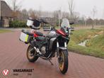 QJMOTOR SRT 700 SX Touring | Demo | NL-Motor | NIEUWSTAAT |, Bedrijf, Meer dan 35 kW, Toermotor, Traction Control