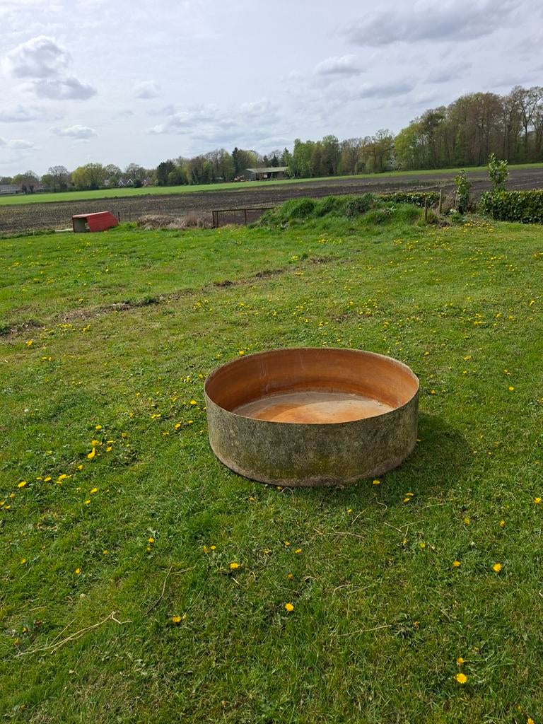 Kunststof grote waterbak  gratis, Varken