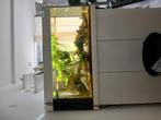 Juwel Rio 180 aquarium 100 cm, Ophalen, Gebruikt, Leeg aquarium