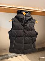 Nieuw Eurostar bodywarmer zwart dames M 38 40, Maat 38/40 (M), Verzenden, Zwart, Nieuw