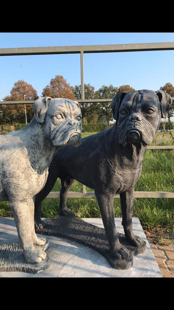 ‼️Boxer levensgrote 120kg 75cm hond reu puppy fokkerij‼️, Tuin en Terras, Tuinbeelden, Nieuw, Dierenbeeld, Beton, Ophalen
