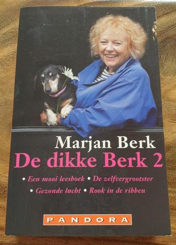 Marjan Berk: Dikke Berk 2 TOP boek vol humor, klein prijsje! beschikbaar voor biedingen