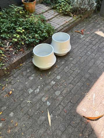 Twee grote witte bloempotten beschikbaar voor biedingen