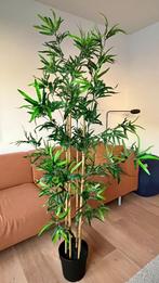 IKEA FEJKA Kunstplant, binnen/buiten bamboe, 23 cm, Ophalen, Zo goed als nieuw, Binnen