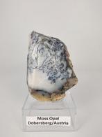 Dendriet opaal Oostenrijk, Ophalen of Verzenden, Mineraal