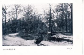 WOLFHEZEN,-  Beekje. <1905.   01-08 beschikbaar voor biedingen