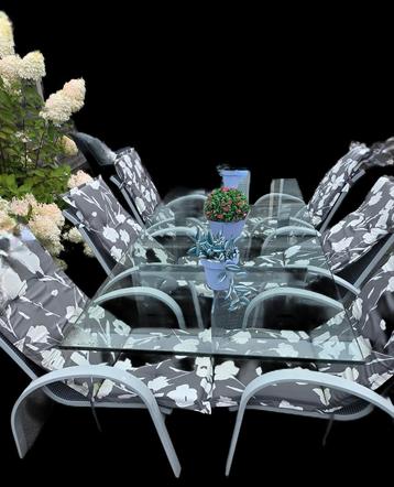 .eettafel met stoelen en loungeset beschikbaar voor biedingen