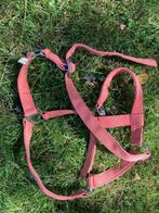 Roze zalmkleur oud roze halster (cob/pony), Dieren en Toebehoren, Paarden en Pony's | Hoofdstellen en Tuigage, Ophalen of Verzenden