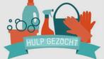 Gezocht: Hulp in de huishouding, Schoonmaken