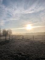 plekje vrij voor een pony, Stalling