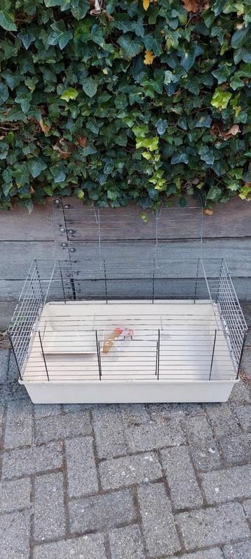 Kooi voor konijn / cavia / hamster beschikbaar voor biedingen