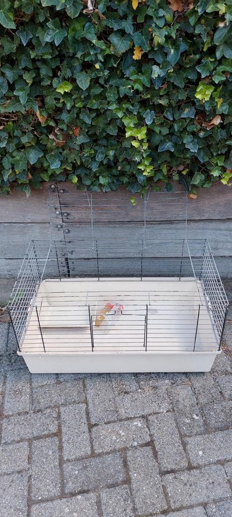 Kooi voor konijn / cavia / hamster, Dieren en Toebehoren, Knaagdieren en Konijnen | Hokken en Kooien, Gebruikt, Kooi, Minder dan 60 cm
