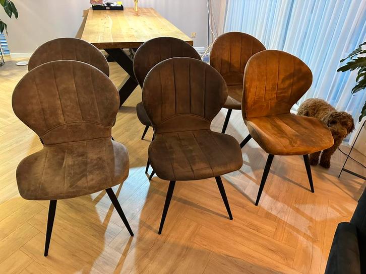 6 eetkamerstoelen 3 kleuren, Huis en Inrichting, Stoelen, Gebruikt, Vijf, Zes of meer stoelen, Overige materialen, Overige kleuren