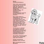 Gezocht: examenhond, Ophalen