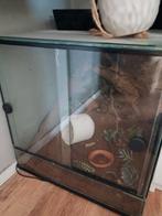 Terrarium met verwarming, Ophalen, Gebruikt, Terrarium of Paludarium
