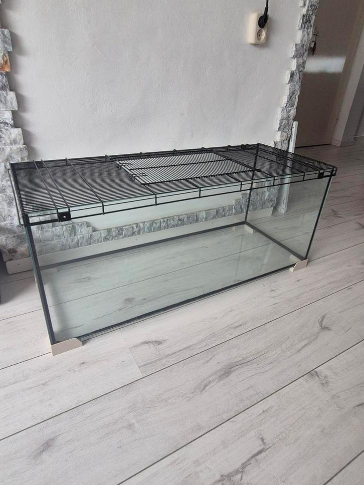 Knaagdierverblijf/kooi, Dieren en Toebehoren, Knaagdieren en Konijnen | Hokken en Kooien, Gebruikt, Kooi, Minder dan 60 cm, 75 tot 110 cm
