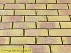 v.a. € 10,- per m2  Gebakken baksteenstrippen steenstrippen, Niet ingevuld, Verzenden, Bakstenen, Niet ingevuld