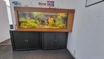 Aquarium compleet 160cm x 50/70cm x 60cm (BxDxH), Dieren en Toebehoren, Vissen | Aquaria en Toebehoren, Gebruikt, Ophalen