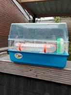 Hamster kooi of voor Rat of muis, fretten., Kooi, Zo goed als nieuw, Ophalen, Minder dan 60 cm