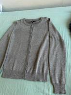 Nog heel mooi glittervestje 134, Kinderen en Baby's, Kinderkleding | Maat 134, Ophalen of Verzenden, Zo goed als nieuw, Meisje