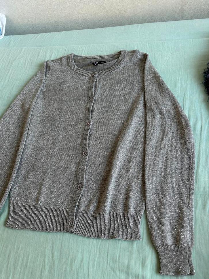 Nog heel mooi glittervestje 134, Kinderen en Baby's, Kinderkleding | Maat 134, Zo goed als nieuw, Meisje, Trui of Vest, Ophalen of Verzenden