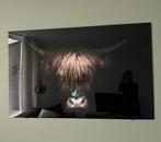 Plexiglas schilderij met koe - zo goed als nieuw!, Antiek en Kunst, Kunst | Tekeningen en Foto's, Ophalen