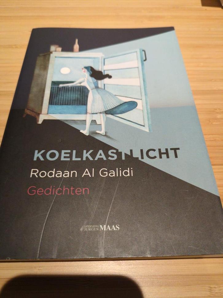 Koelkastlicht - Rodaan Al Galidi - Gedichten, Boeken, Literatuur, Gelezen, Nederland, Ophalen of Verzenden