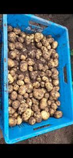 Nieuwe Aardappels, Diversen, Levensmiddelen, Ophalen of Verzenden
