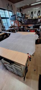 Runderprent reptiel, Leguaan, Hele of HALVE HUID, Overige kleuren, 120 cm of meer, Leer of Kunstleer, Nieuw