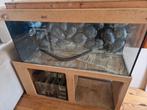 Aquarium 1.30 mtr 390 ltr met achterwand en pompbioloog, Dieren en Toebehoren, Ophalen of Verzenden, Leeg aquarium
