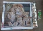 Diamond Painting Leeuwen Familie (Vol Rond) 40x40, Ophalen of Verzenden, Nieuw