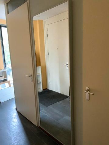 Grote Rechthoekige Spiegel beschikbaar voor biedingen
