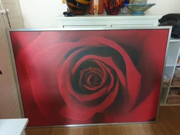 Groot Ikea Schilderij - De Roos - Wezep beschikbaar voor biedingen