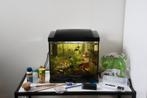 Compleet aquarium met toebehoren, Ophalen, Zo goed als nieuw, Gevuld zoetwateraquarium
