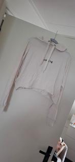 Nikkie trui wit, maat 40 (valt als 38), Kleding | Dames, Truien en Vesten, Maat 38/40 (M), Wit, Ophalen of Verzenden, Zo goed als nieuw