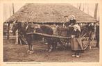 Brabantsche Kleederdrachten Boeren gezin op paard en wagen, Verzenden, 1920 tot 1940, Ongelopen, Noord-Brabant