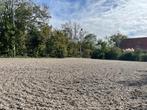 Te koop: goed werkende Equisport eb en vloed rijbak 800m2, Dieren en Toebehoren, Ophalen, Gebruikt, Springen