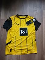 Nieuw voetbalshirt Dortmund maat 176, Maat XS of kleiner, Ophalen, Nieuw, Shirt