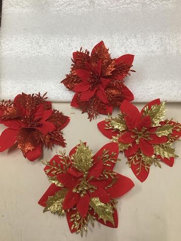Kerstster bloem beschikbaar voor biedingen