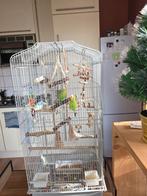 Grote kooi, Dieren en Toebehoren, Vogels | Hokken en Kooien, Ophalen, Zo goed als nieuw, Metaal, Vogelkooi