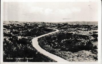 HOLLUM - DUINPAND beschikbaar voor biedingen