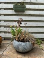 Mooi grijze ronde bloempot voor buiten D38, Overige materialen, Rond, Tuin, Zo goed als nieuw