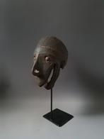 Substitute skull schedel Papua Indonesie Dayak Asmat, Antiek en Kunst, Kunst | Niet-Westerse kunst, Ophalen of Verzenden
