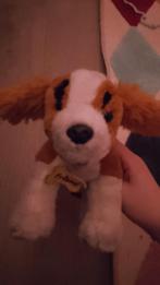 Hond knuffeltje van berentoys, Kinderen en Baby's, Speelgoed | Knuffels en Pluche, Ophalen of Verzenden, Gebruikt, Hond