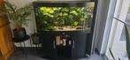 Juwel panorama Aquarium 120cm, Dieren en Toebehoren, Vissen | Aquaria en Toebehoren, Ophalen, Gevuld zoetwateraquarium