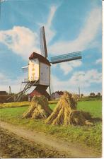 Baexem Standaard Korenmolen., Verzamelen, Ansichtkaarten | Nederland, Ophalen of Verzenden, 1960 tot 1980, Ongelopen, Limburg