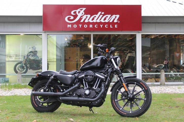 Harley-Davidson XL 883 Iron, Motoren, Motoren | Harley-Davidson, Bedrijf, Chopper, meer dan 35 kW